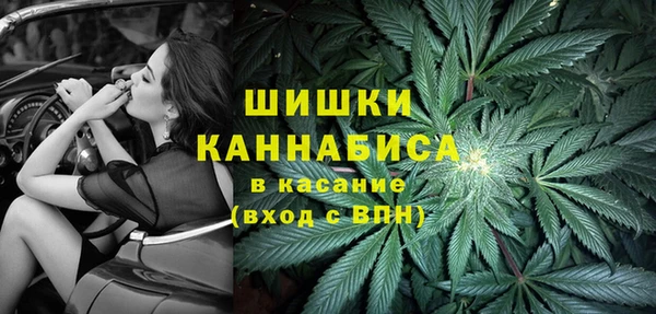 первитин Богданович