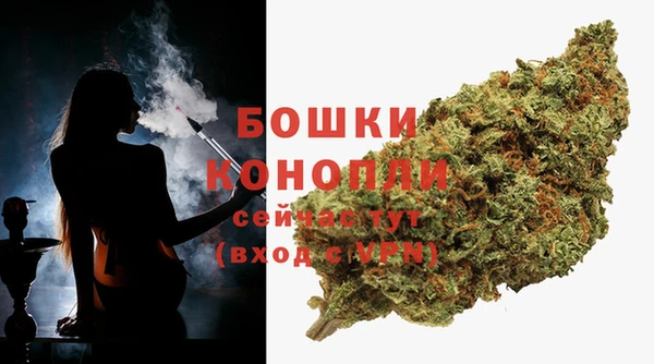 PSILOCYBIN Богородск